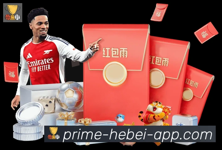 奖项证书